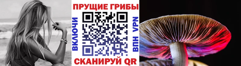 хочу наркоту  Железногорск-Илимский  блэк спрут   Галлюциногенные грибы мицелий 