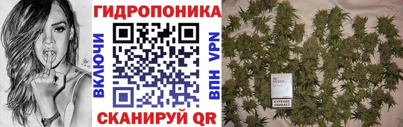 Канабис сатива закладка Железногорск-Илимский
